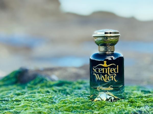 Paradise Inspired By Absolu Aventus