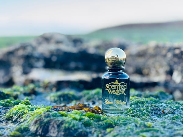 Citrus Whisper Inspired By Louis Vuitton L’Immensité