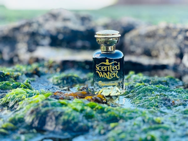 Opportunity Inspired By Chanel Chance