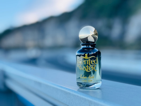 Eden Lush Inspired By Bleu De Chanel