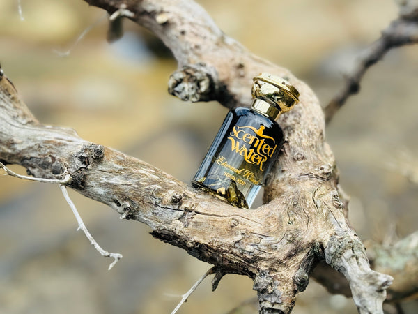 Eternal Wood Inspired By LV Ombre Nomade